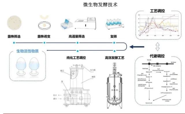 表面活性剂缩略图