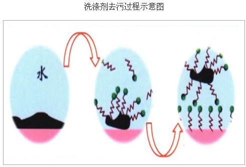 锌、锰、铜的其他作用插图