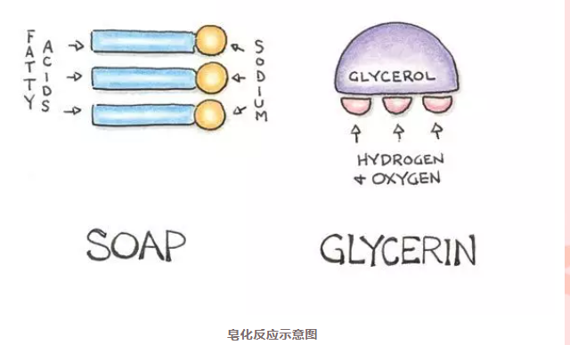 阴离子表面活性剂硫酸盐插图